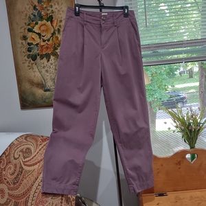 Plum Colored High-Rise Pleat Front Tapered Chino Pants - A New Day
